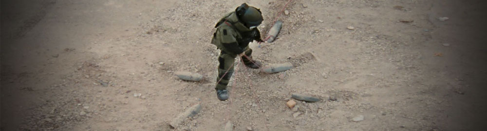 B3.jpg